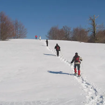 Appartamento Principe Di Napoli *