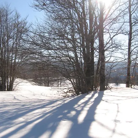 Principe Di Napoli Apartment *