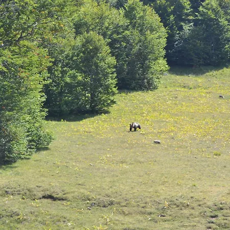 Apartment Principe Di Napoli Pescasseroli