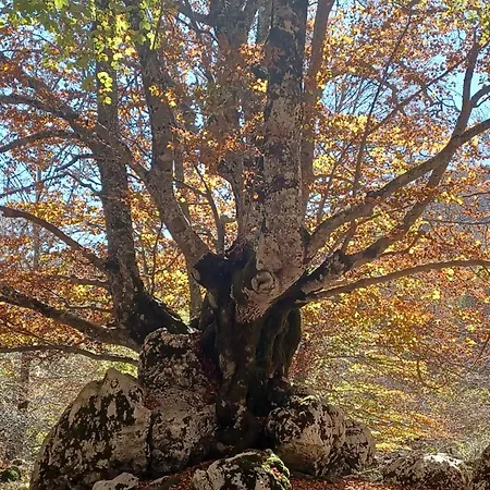 Principe Di Napoli Appartamento Pescasseroli