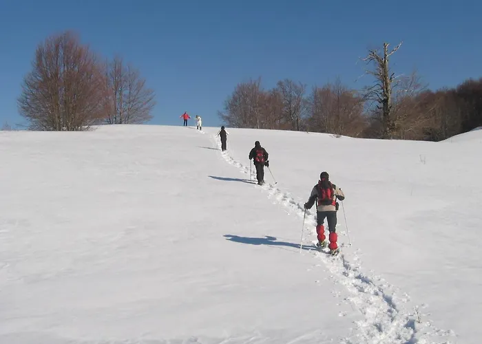 Apartment Principe Di Napoli *
