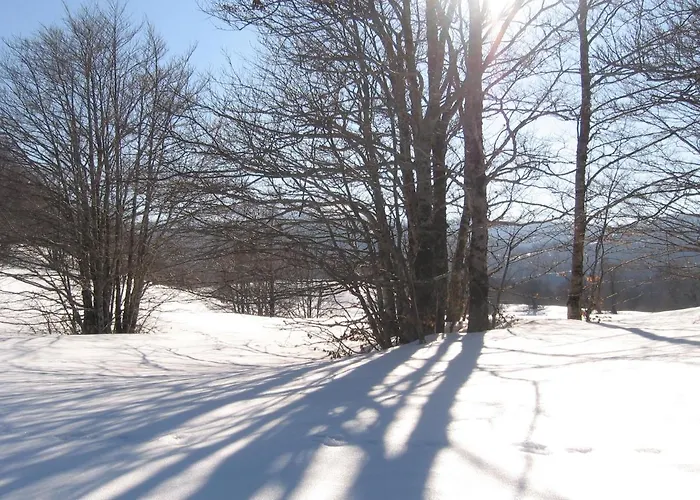 Principe Di Napoli Апартаменты *