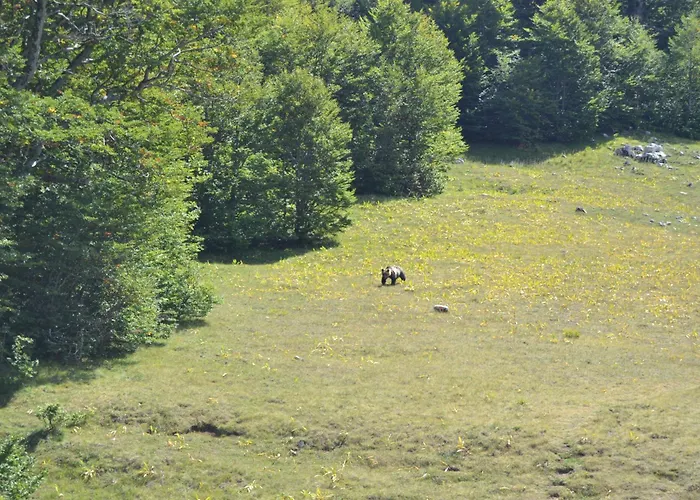 Apartment Principe Di Napoli Pescasseroli