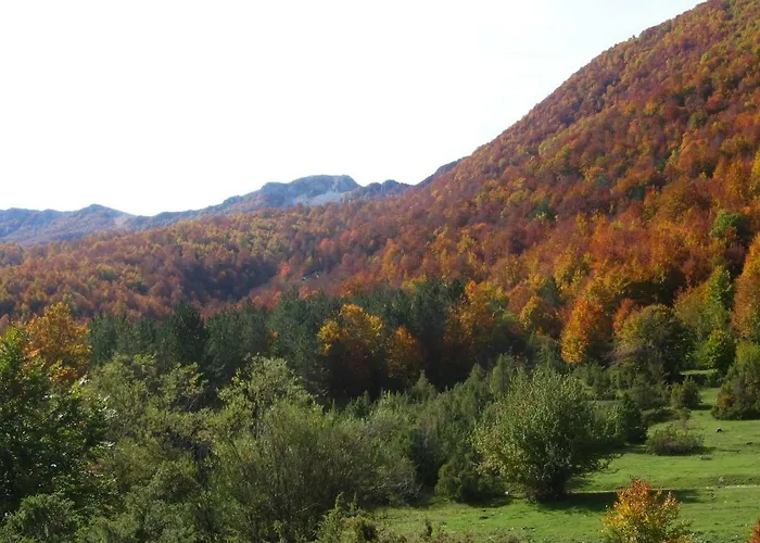 Apartment Principe Di Napoli *