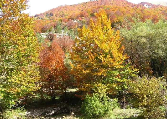 Principe Di Napoli Apartment Pescasseroli